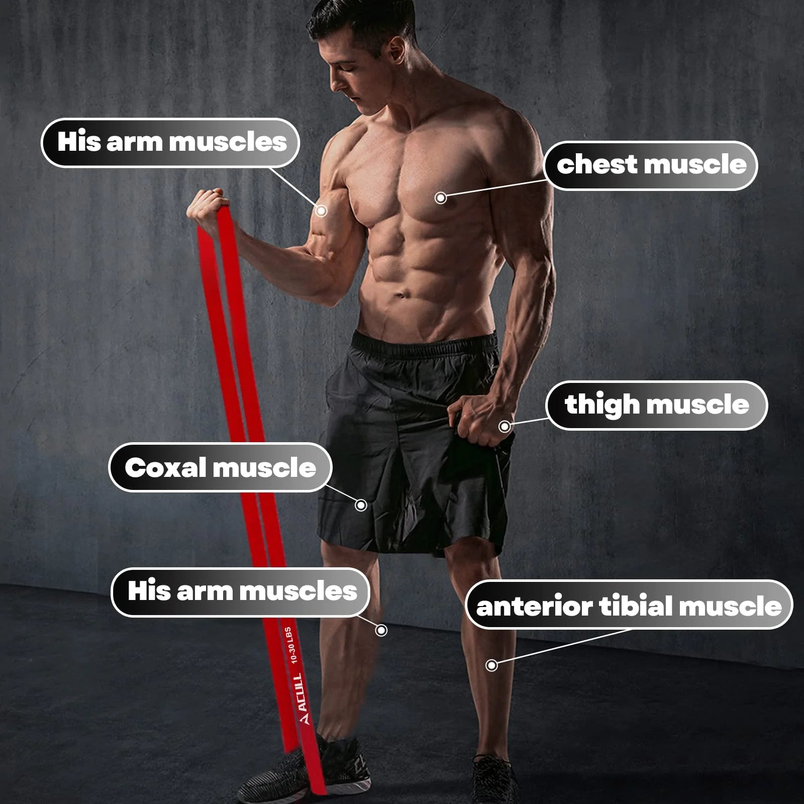 Physical Exercise Pull up Assist Stretch Mobility Bands 1.75 Lbs